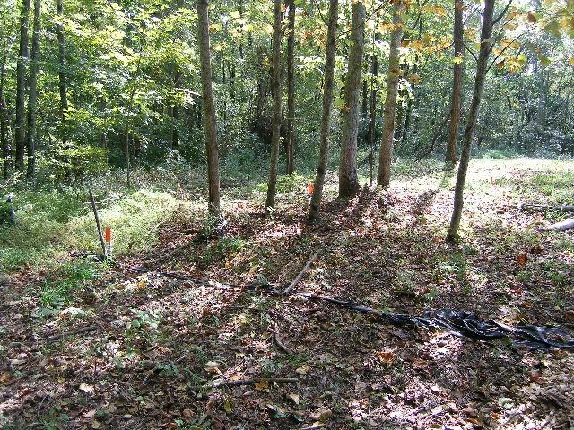 0 Sugar Rdg, Spring Hill, TN 37174 - photo 28