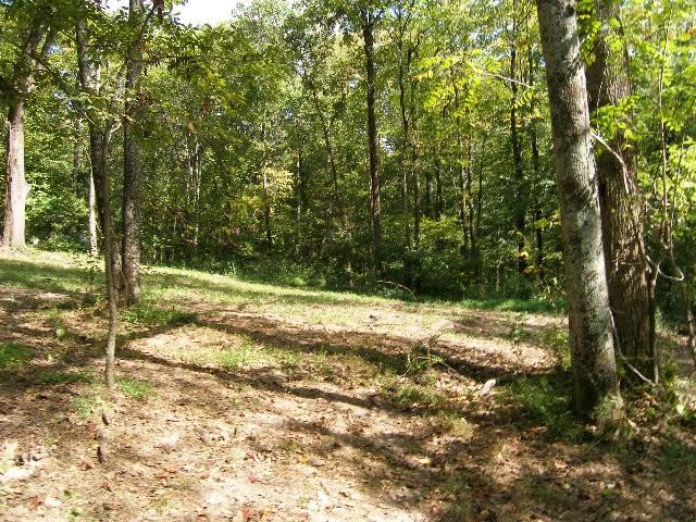 0 Sugar Rdg, Spring Hill, TN 37174 - photo 10