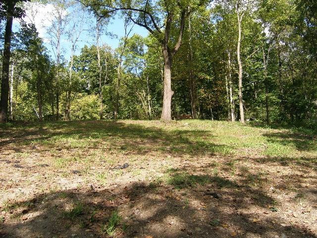 0 Sugar Rdg, Spring Hill, TN 37174 - photo 14