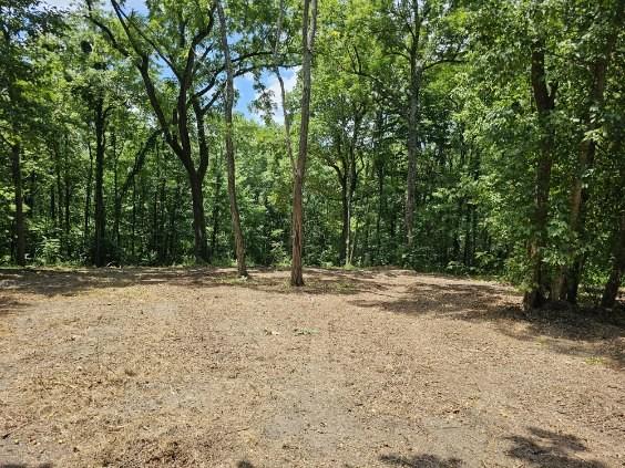 0 Sugar Rdg, Spring Hill, TN 37174 - photo 20