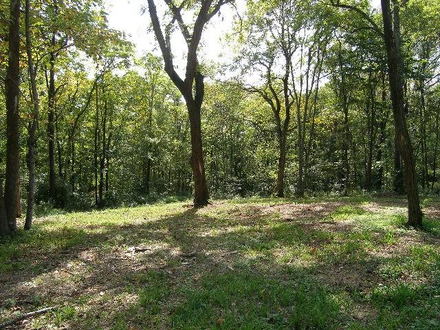 0 Sugar Rdg, Spring Hill, TN 37174 - photo 18