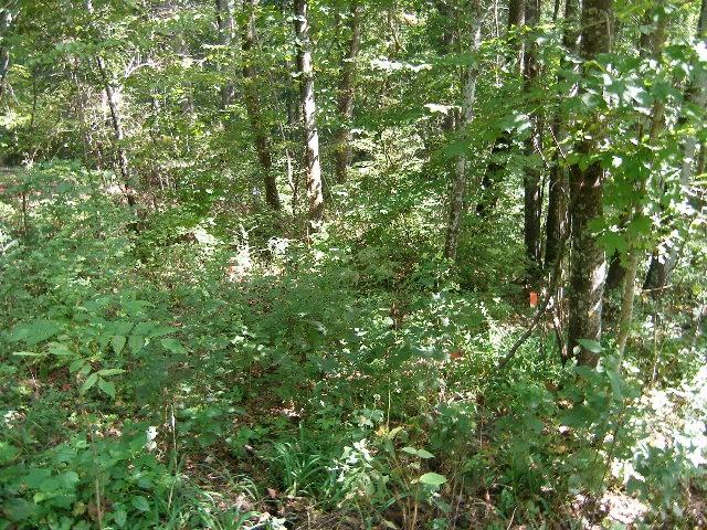 0 Sugar Rdg, Spring Hill, TN 37174 - photo 30