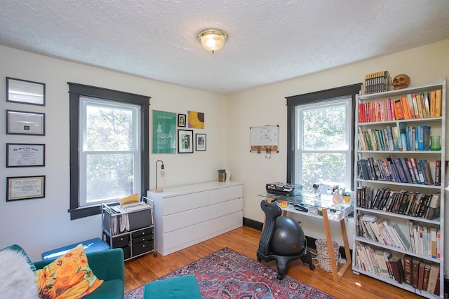 office space with a textured ceiling, light hardwood / wood-style floors, and a healthy amount of sunlight