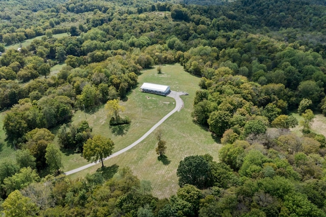 1818 Preacher Holt Rd, Mount Pleasant, TN 38474 - photo 2
