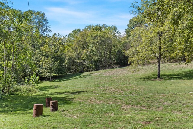 1818 Preacher Holt Rd, Mount Pleasant, TN 38474 - photo 36