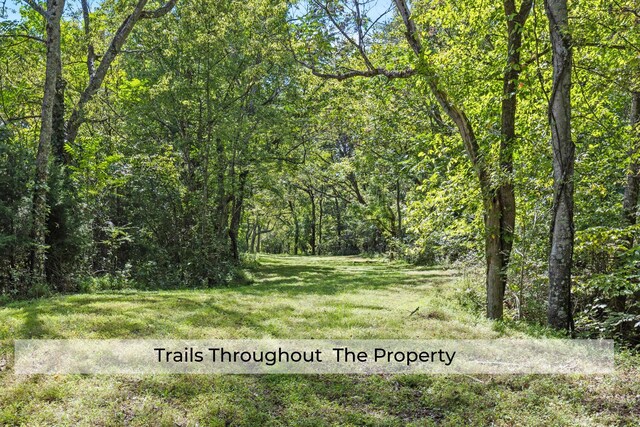 1818 Preacher Holt Rd, Mount Pleasant, TN 38474 - photo 37