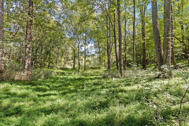 1818 Preacher Holt Rd, Mount Pleasant, TN 38474 - photo 40