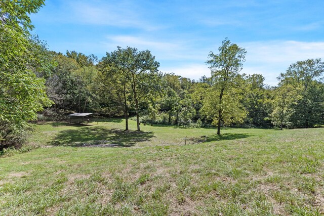 1818 Preacher Holt Rd, Mount Pleasant, TN 38474 - photo 35