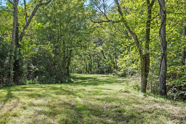 1818 Preacher Holt Rd, Mount Pleasant, TN 38474 - photo 39