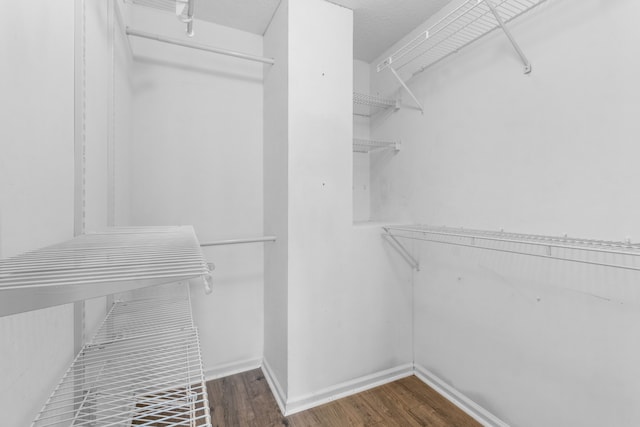 spacious closet featuring dark hardwood / wood-style floors