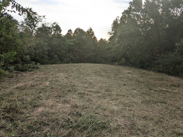 Listing photo 3 for 0 Union Ridge Rd, Wartrace TN 37183