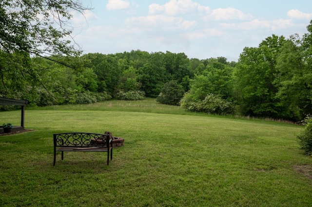 view of property's community with a yard