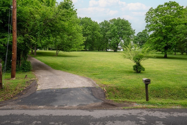 view of community with a lawn