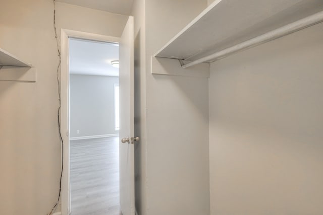 walk in closet with light hardwood / wood-style flooring