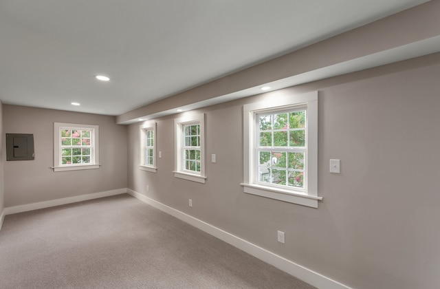 spare room featuring electric panel and light colored carpet