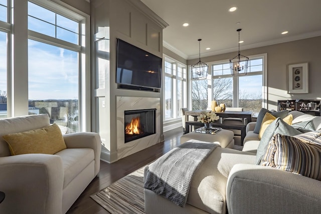 living room with ornamental molding, dark wood-type flooring, a high end fireplace, and a chandelier