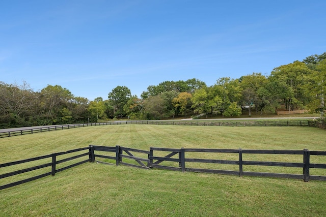 view of yard featuring a rural view