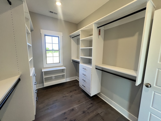 spacious closet featuring dark hardwood / wood-style floors