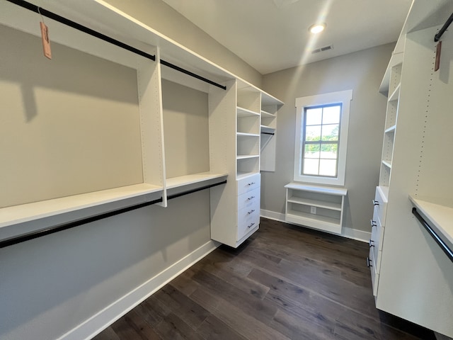 spacious closet with dark hardwood / wood-style flooring