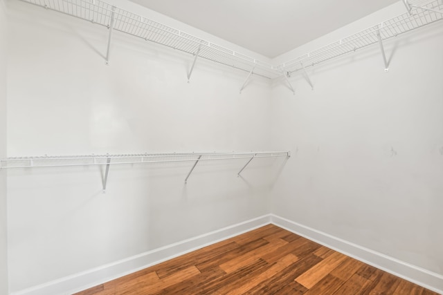 spacious closet with hardwood / wood-style floors