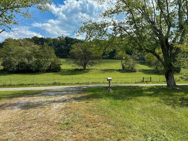 view of yard with a rural view