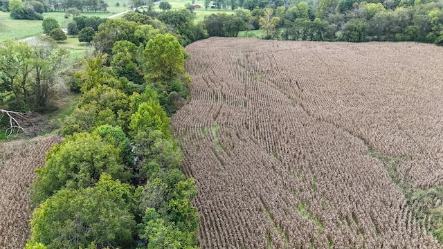 bird's eye view featuring a rural view