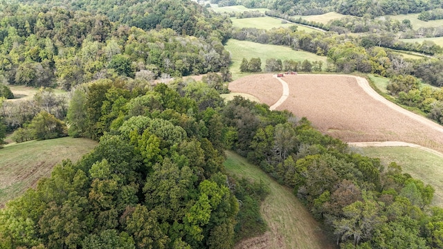 drone / aerial view featuring a rural view