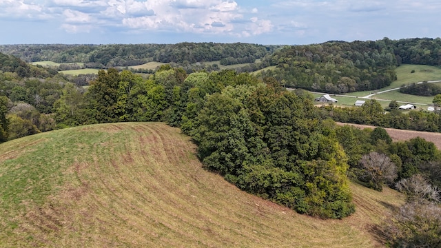 birds eye view of property with a rural view