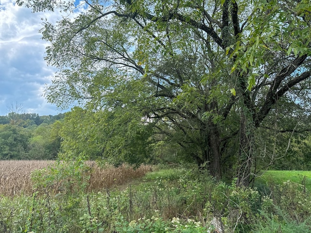 view of landscape