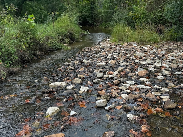 view of nature