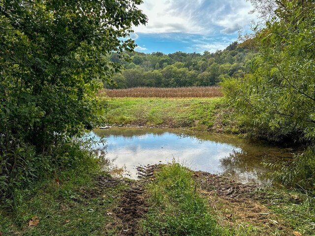 water view