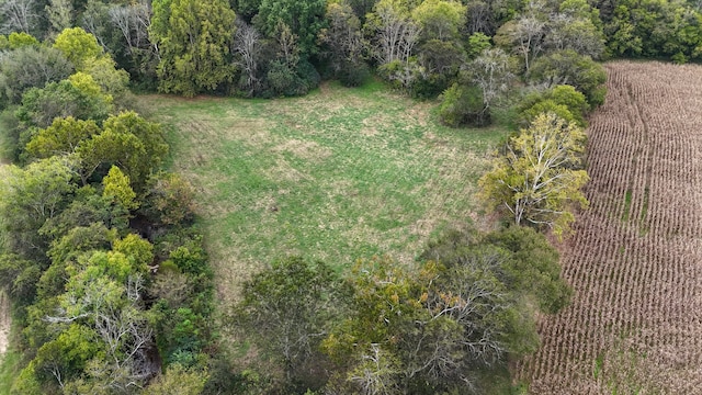 birds eye view of property featuring a rural view