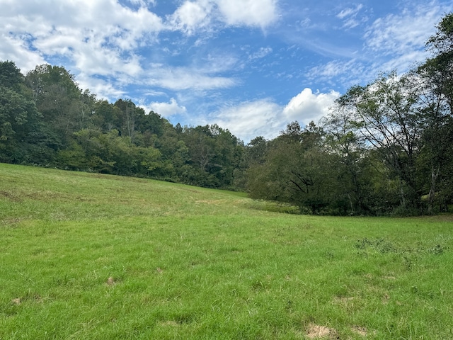 view of local wilderness