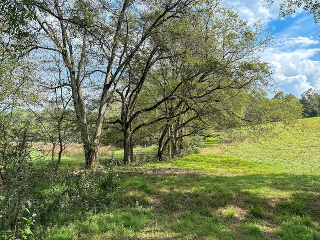 view of nature