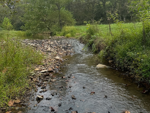 view of nature