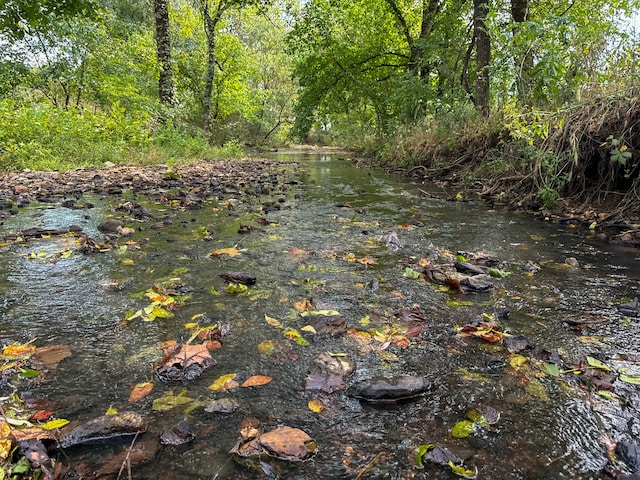 view of nature