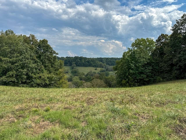 view of landscape