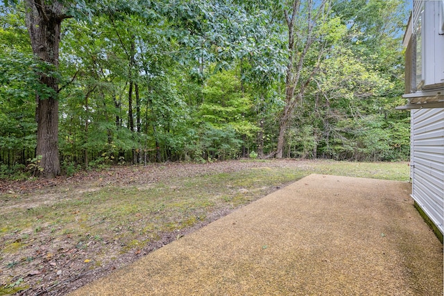 view of yard featuring a patio area