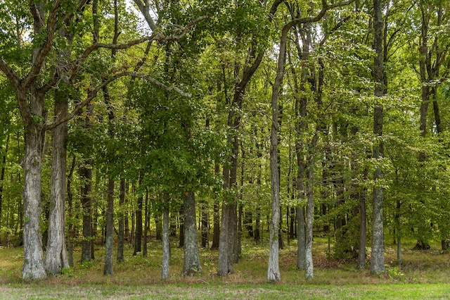 view of nature