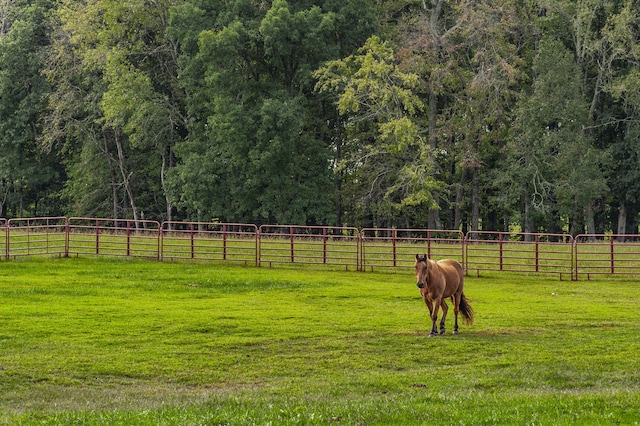 view of yard with a rural view