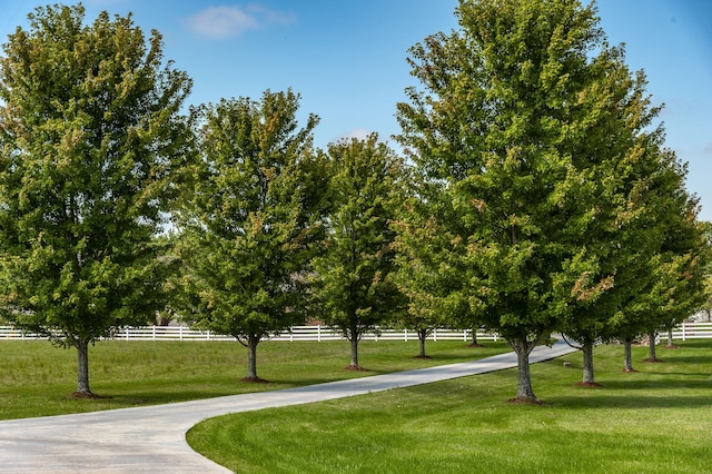 surrounding community featuring a rural view and a yard