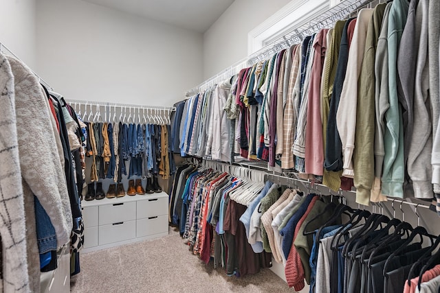 spacious closet with carpet