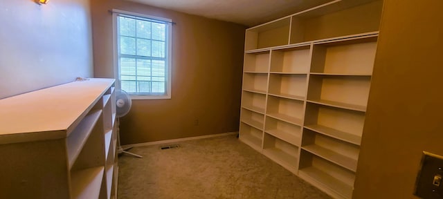 interior space with carpet