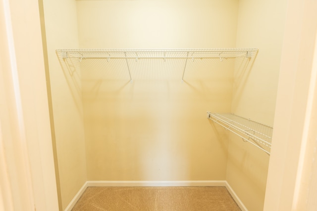 walk in closet featuring carpet