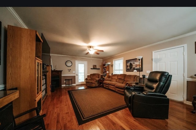 living room featuring crown molding, ceiling fan, and dark wood-type flooring