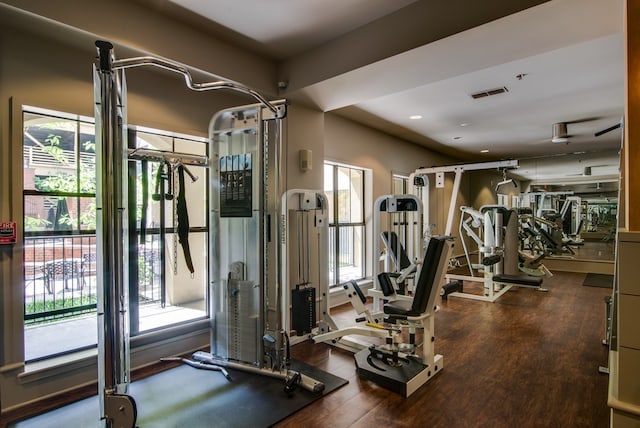 exercise room featuring plenty of natural light and dark hardwood / wood-style flooring