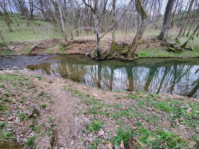 0 Plunkett Creek Rd, Gordonsville, TN 38563 - photo 11