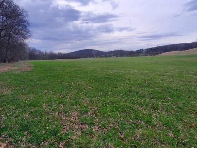 0 Plunkett Creek Rd, Gordonsville TN, 38563 land for sale