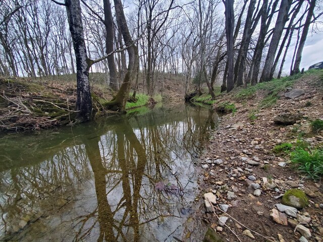 0 Plunkett Creek Rd, Gordonsville, TN 38563 - photo 2