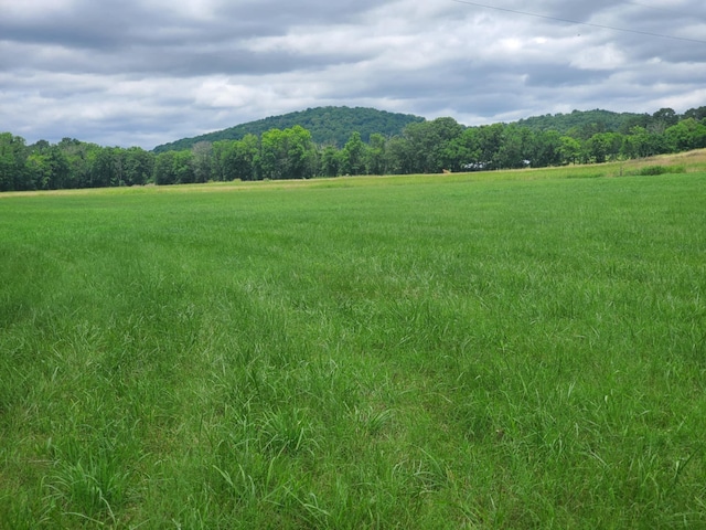 0 Plunkett Creek Rd, Gordonsville, TN 38563 - photo 7